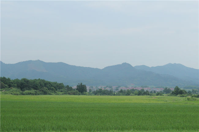 基地展示