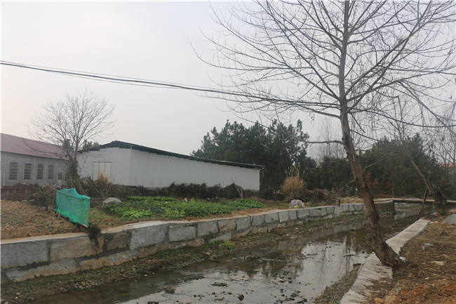 庙前村委会农家乐休闲基地