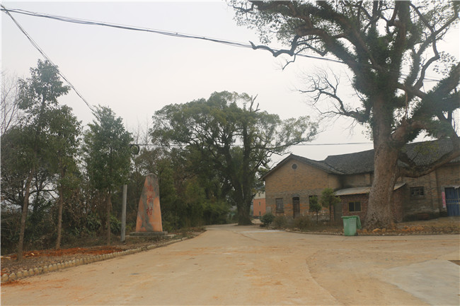  庙前村委会农家乐休闲基地