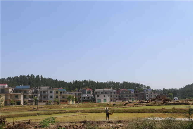  庙前村委会农家乐休闲基地