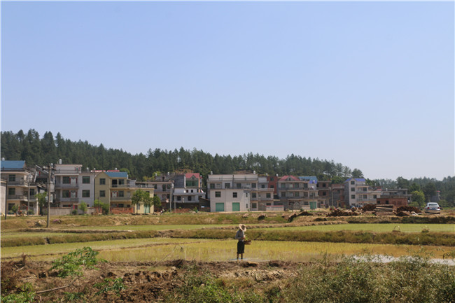  庙前村委会农家乐休闲基地