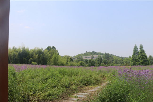  庙前村委会农家乐休闲基地