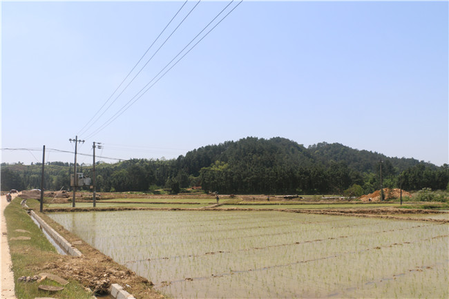 庙前村委会农家乐休闲基地