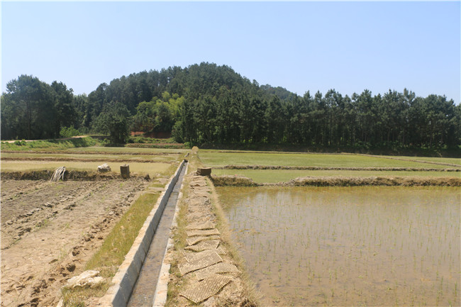  庙前村委会农家乐休闲基地