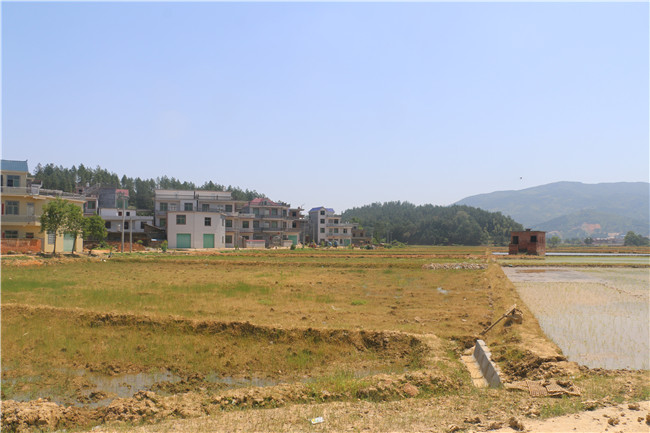  庙前村委会农家乐休闲基地